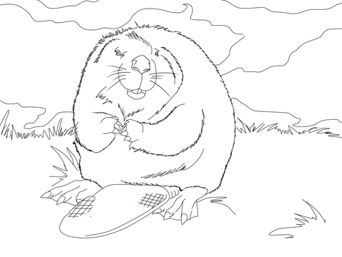 Cute North American Beaver Coloring Page